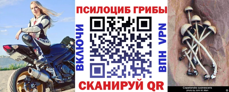Купить закладки  Давлеканово  Псилоцибиновые грибы Psilocybine cubensis 